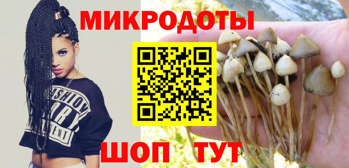 Псилоцибиновые грибы Psilocybine cubensis  Вход с VPN  Рубцовск 